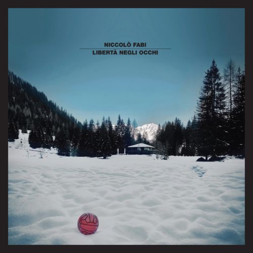Niccolò fabi copertina Niccolò Fabi Libertà negli occhi copertina