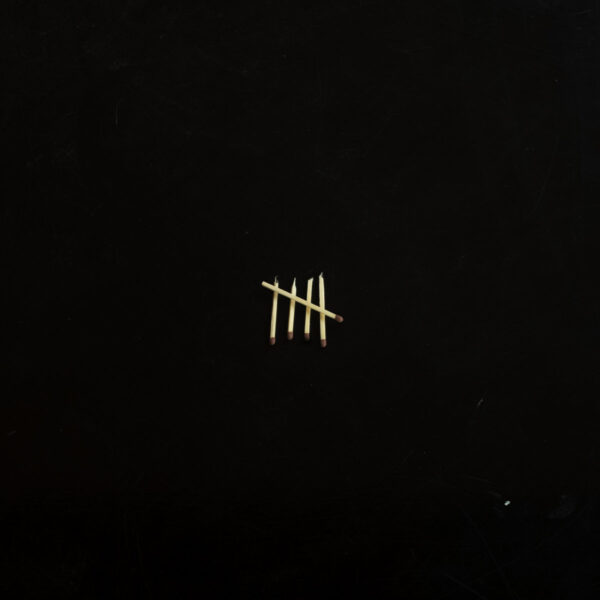 copertina sault 5