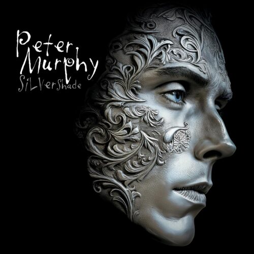copertina peter murphy silver shade