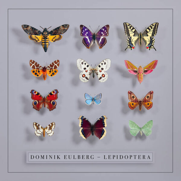 copertina dominik eulberg lepidoptera