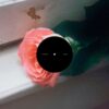 Planet Funk Bloom Planet Funk Bloom