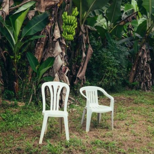 Debí tirar más fotos Bad Bunny