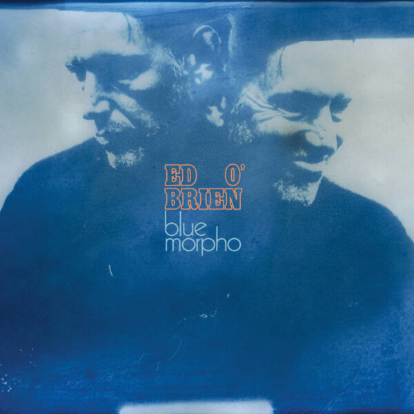copertina ed o'brien blue morpho