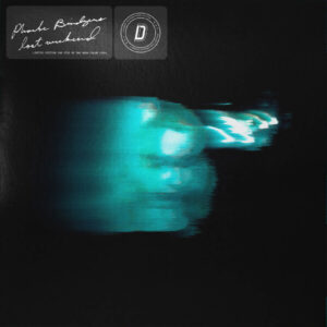 Phoebe Bridgers Lost Weekend