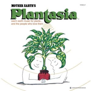 plantais mort garson