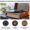 Crosley Voyager Cocoa